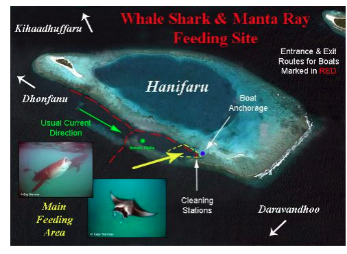 Hanifaru Bay