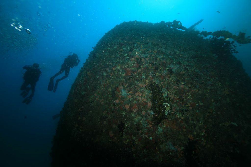 Shipwrecks in maldives